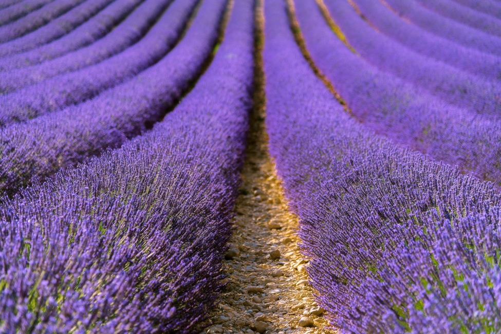 WhatsApp Image 2025 09 24 At 23.13.52 7987f78c